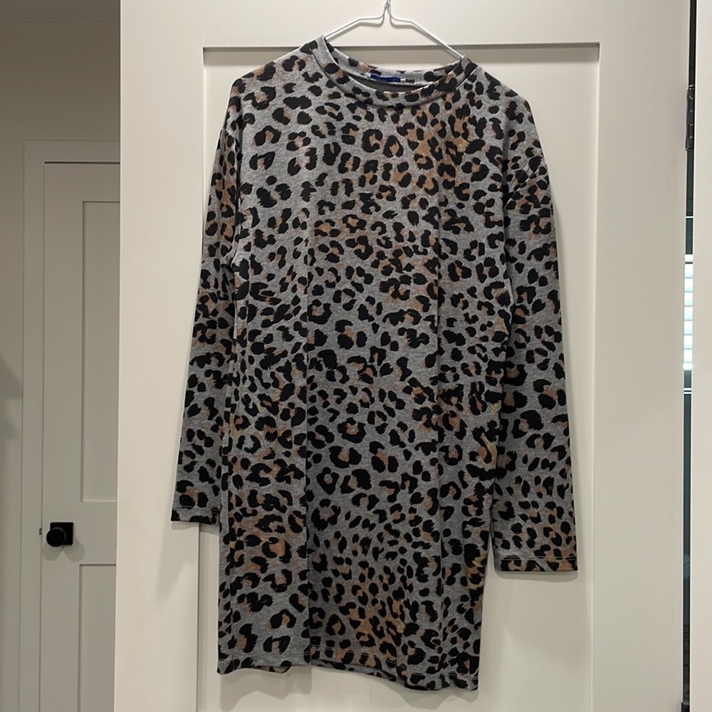 Zara Leopard Dress